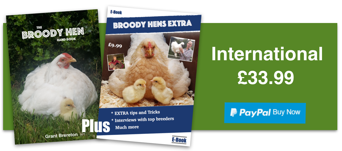 PayPal – The safer, easier way to pay online!