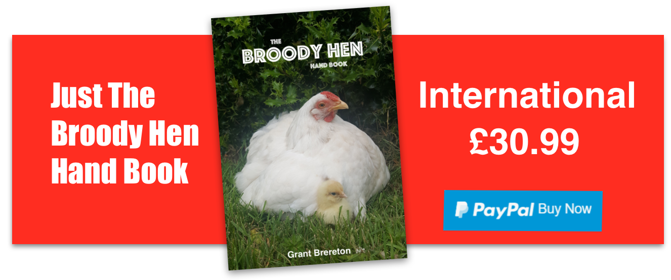 PayPal – The safer, easier way to pay online!