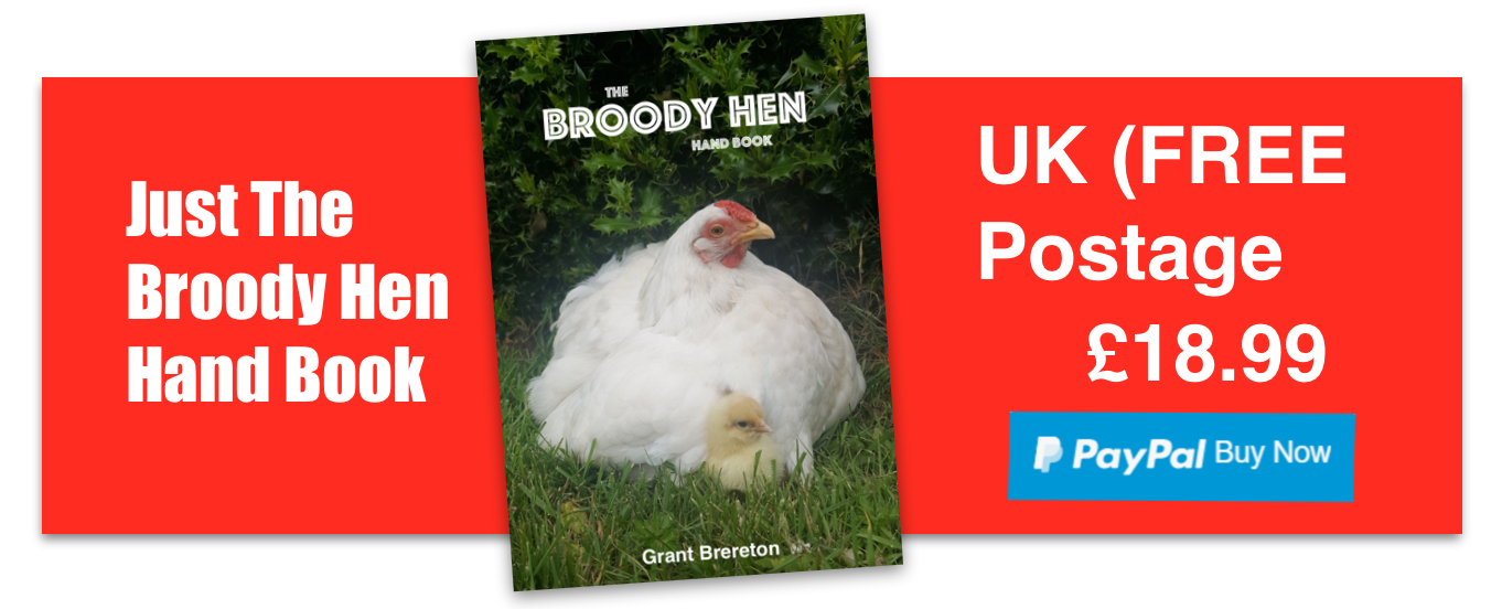 PayPal – The safer, easier way to pay online!